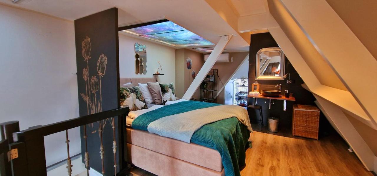 Appartement Attic *